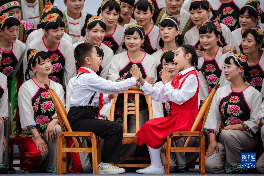 大发贝斯特是什么